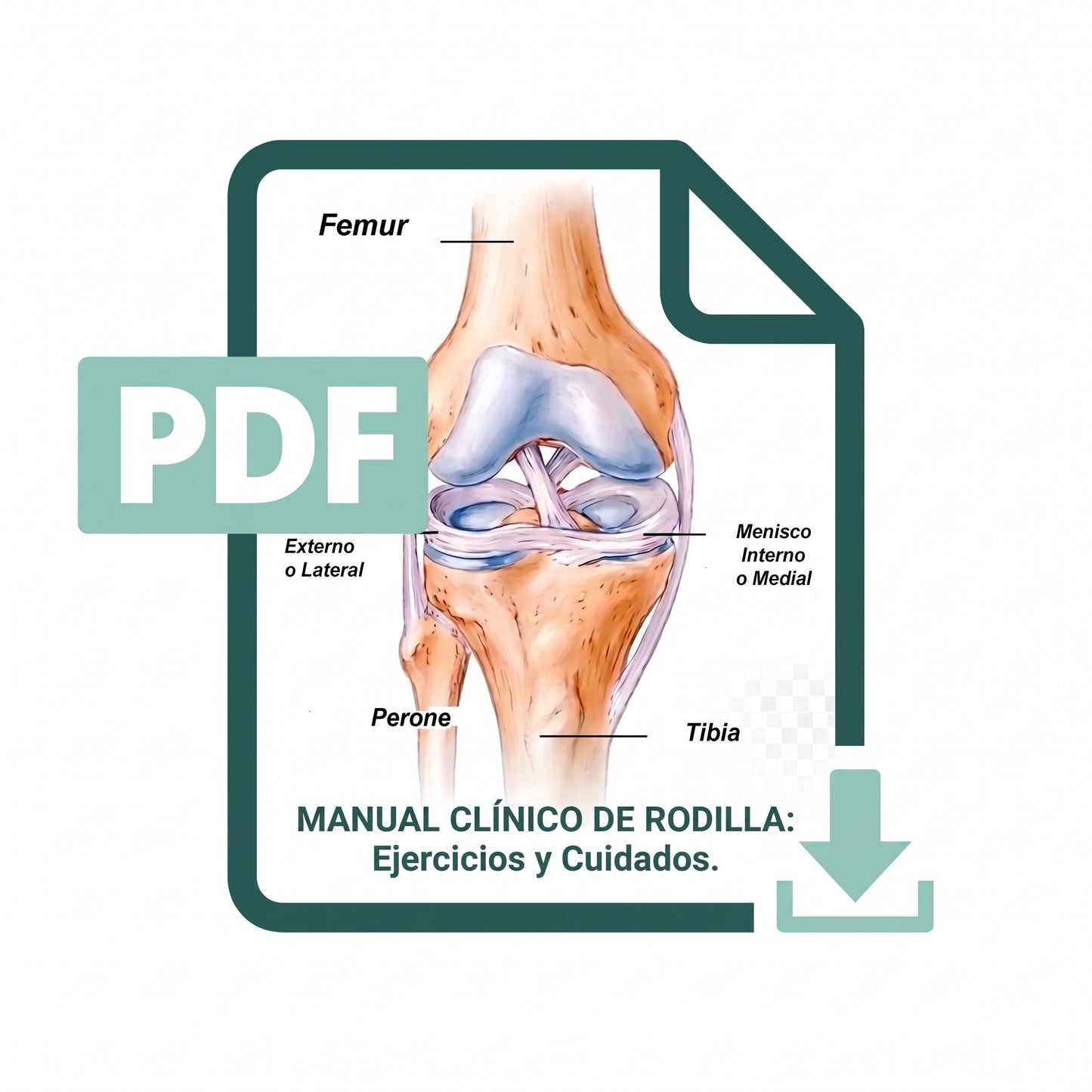 Guía Definitiva para Rodillas Saludables